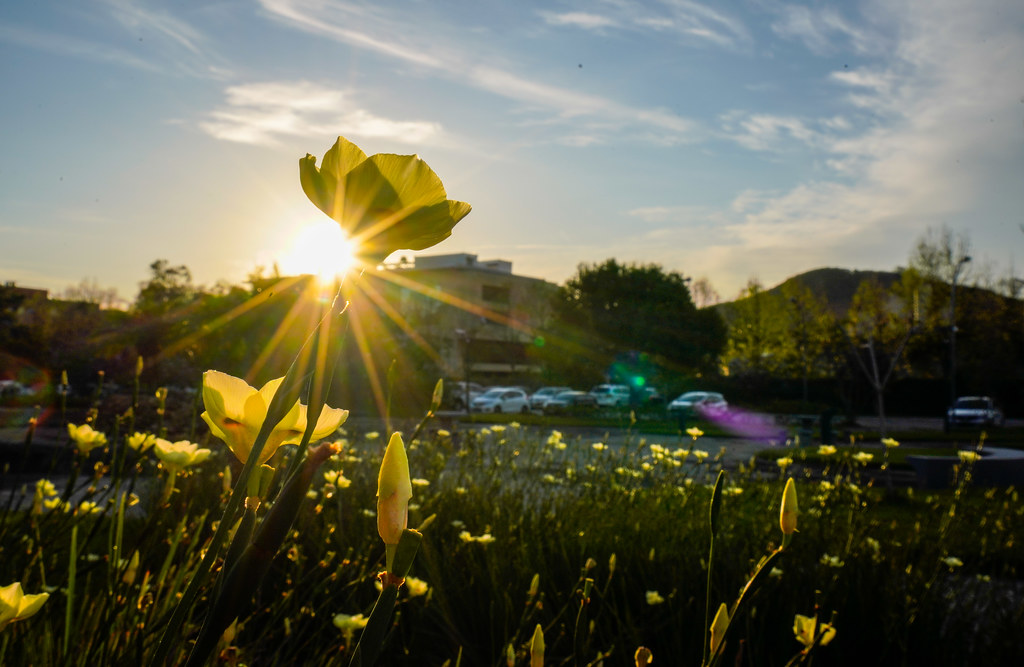 Abertura da Primavera 2026
