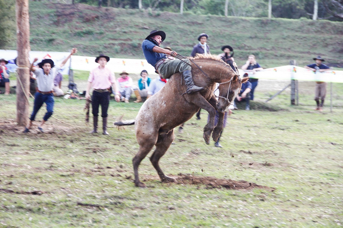
									Legenda: Fotos: Ary Barbosa de Jesus Filho, Fabrício Furtado, Kleber Rita (arquivo FCL) / Credito: 
									Comemorações da Semana Farroupilha, em Lages, seguem com acampamento, gineteada, exposições e tradicionalismo - 
									Programação especial será realizada na Chácara Bom Jesus 
									15/09/2022 11:09:11								