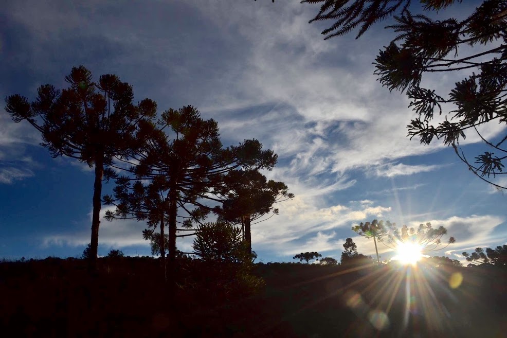 Lages | 