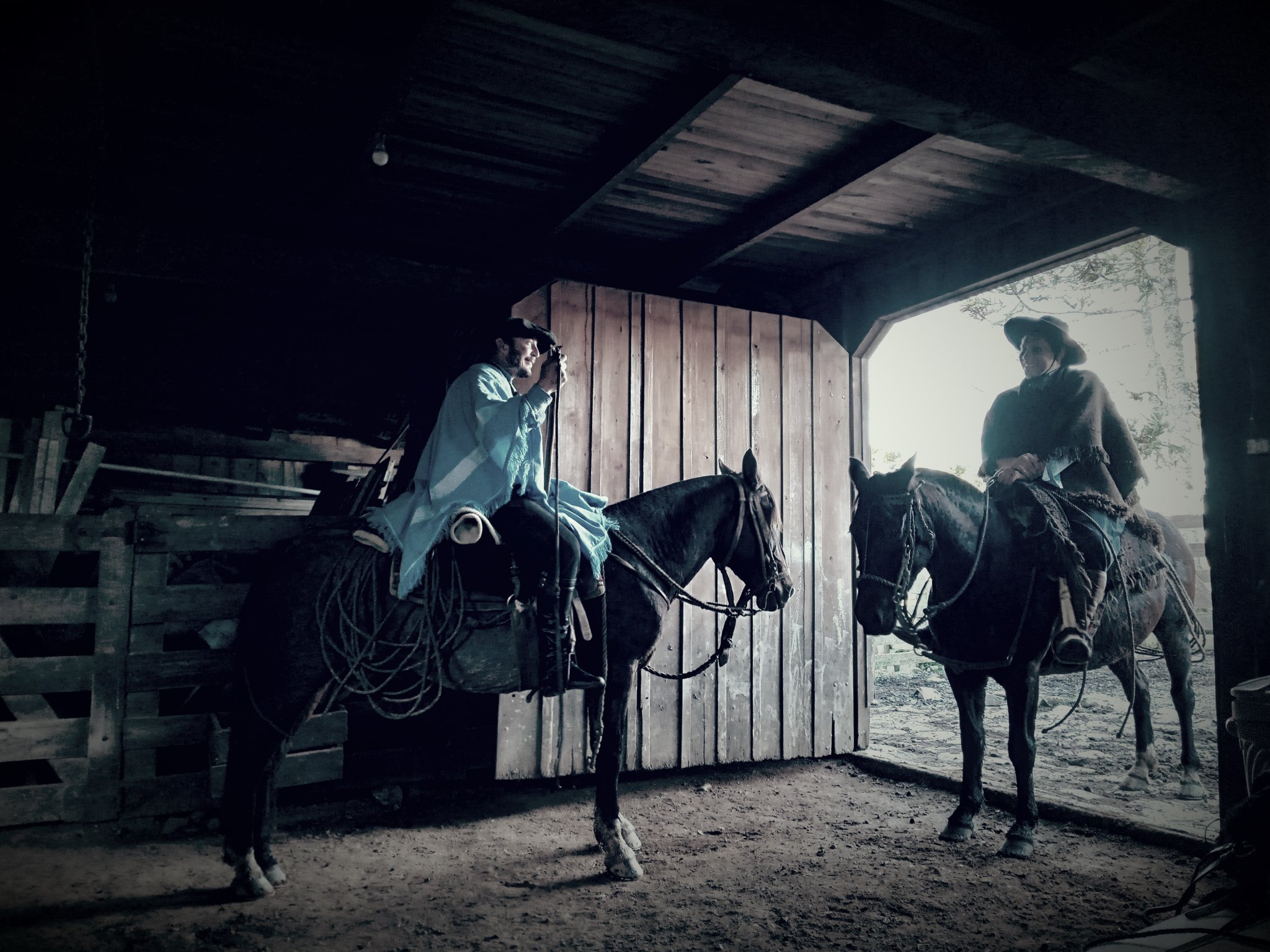 Cavalgada Entre Orejas | 