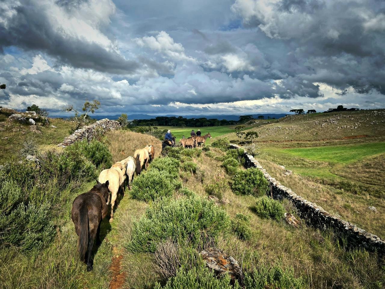 Cavalgada Entre Orejas | 