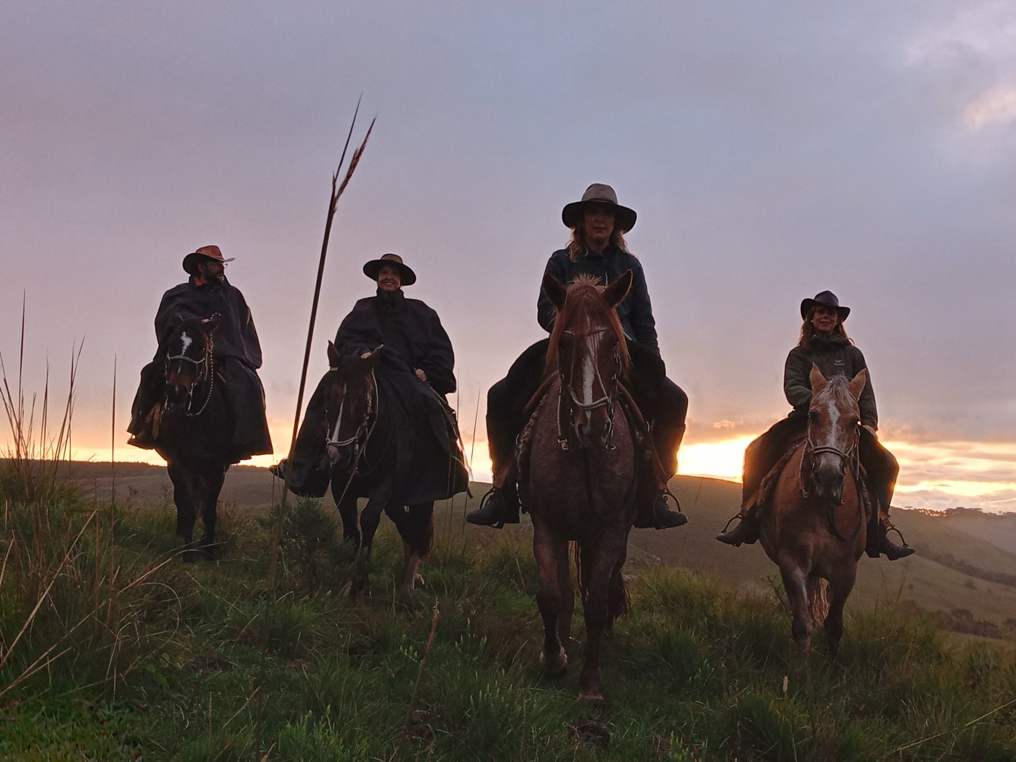 Cavalgada Entre Orejas | 
