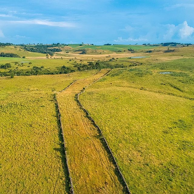 Visitar a Coxilha Rica