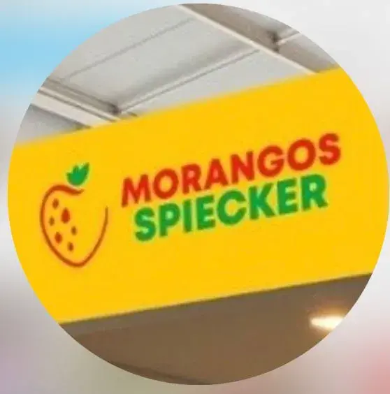 Morangos Spiecker