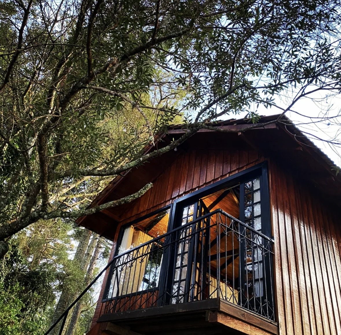Turismo Lages Cabana da Árvore 